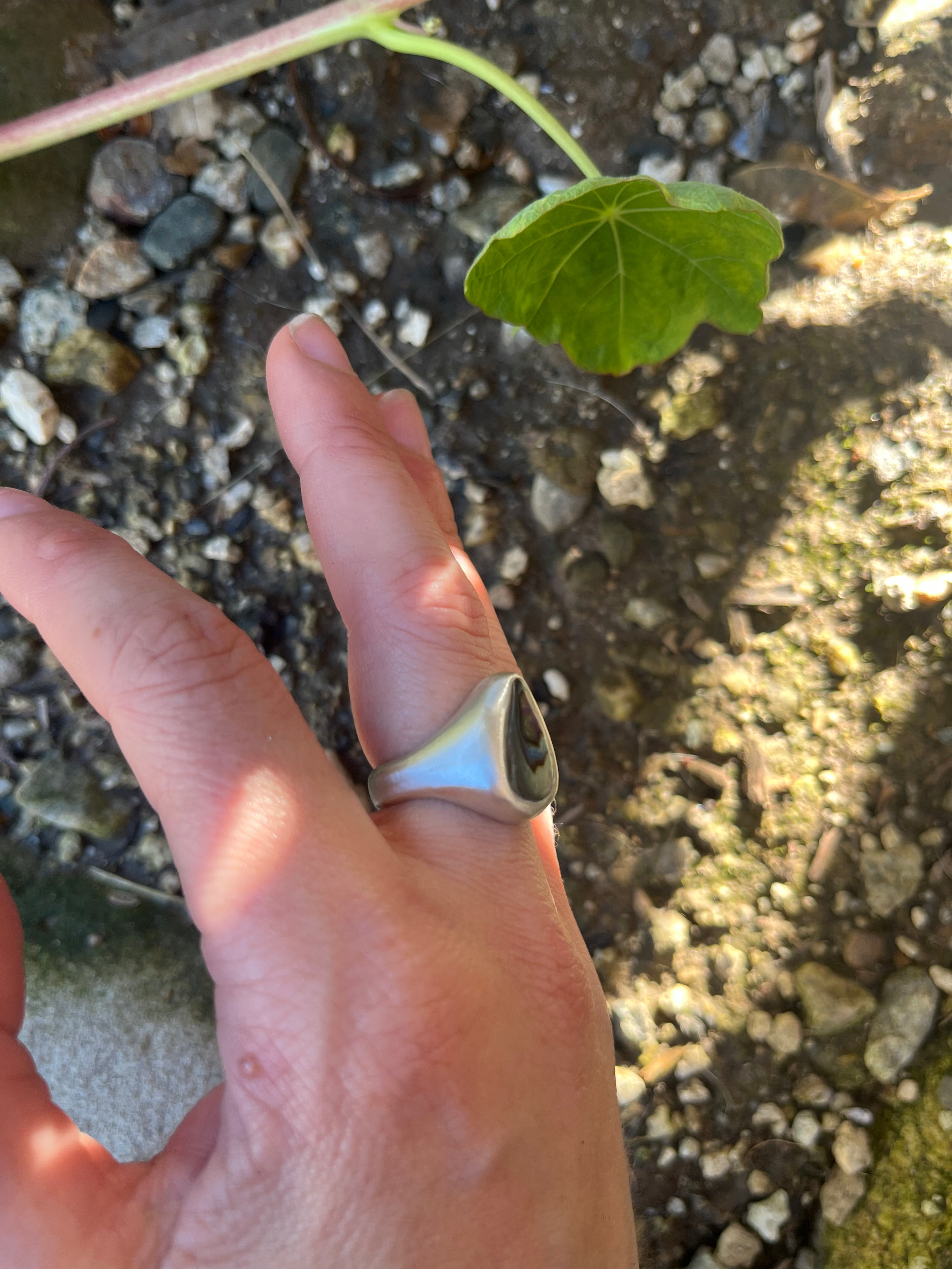 abalone ring~ size 6