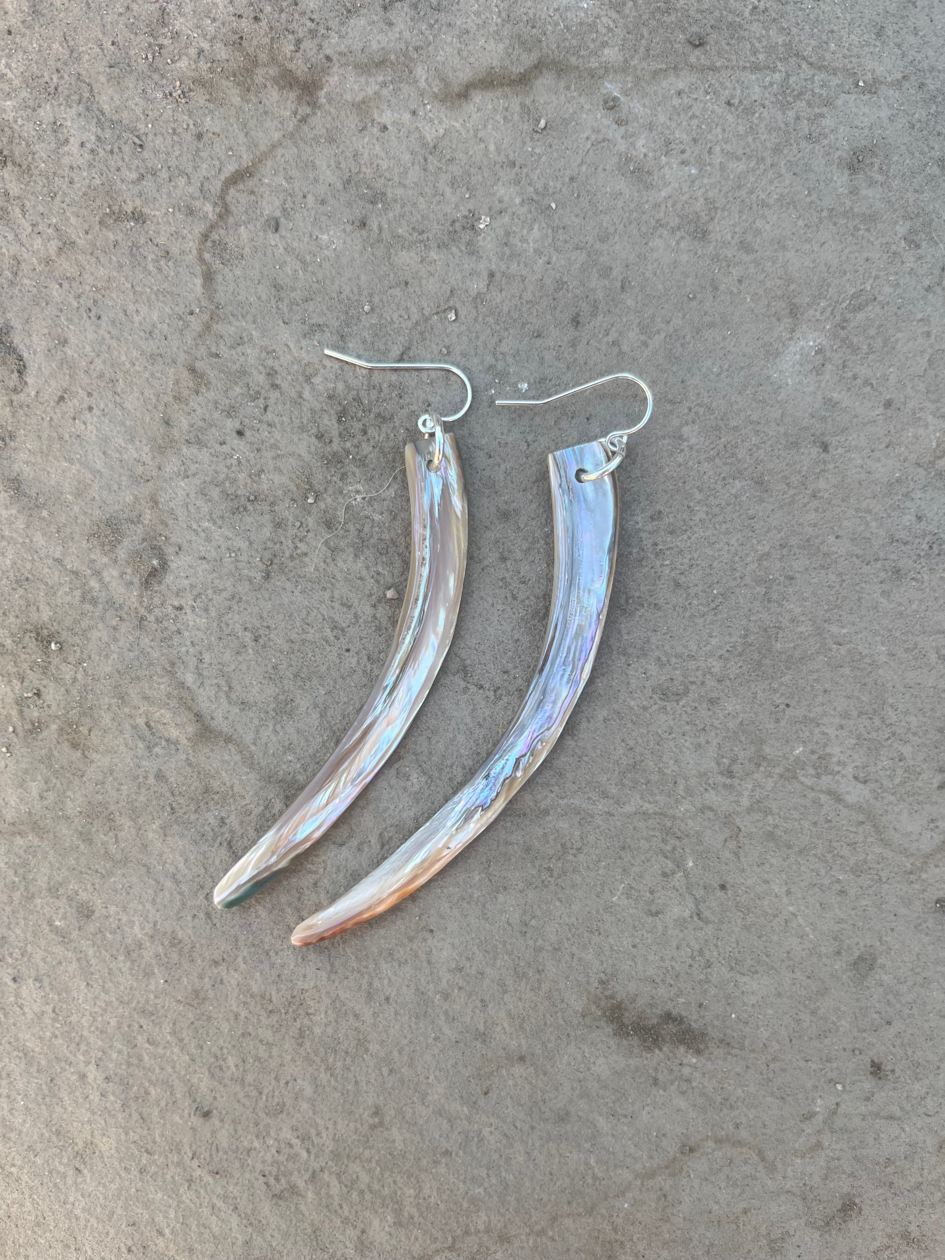 abalone tusk earring