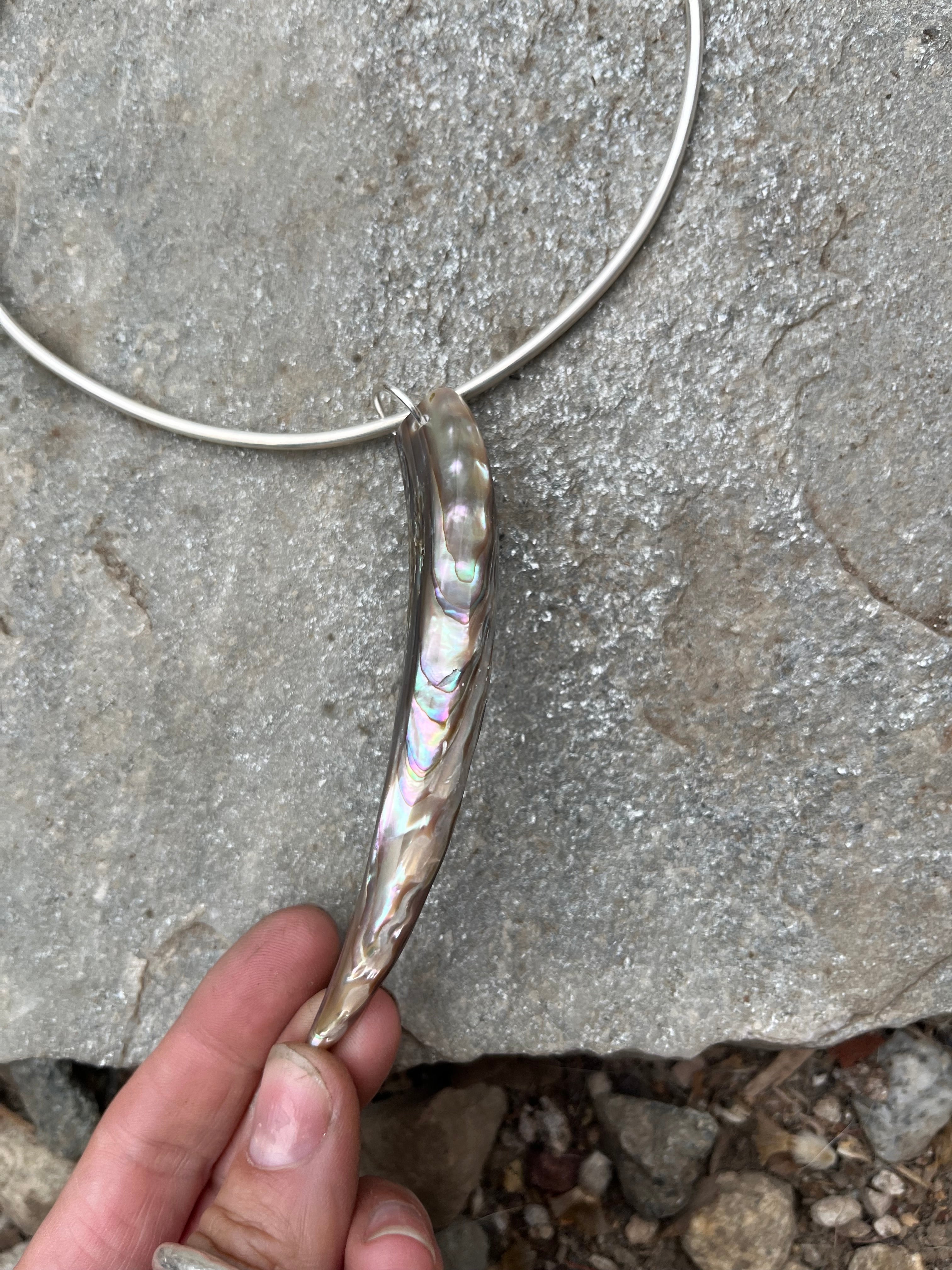 abalone tusk collar