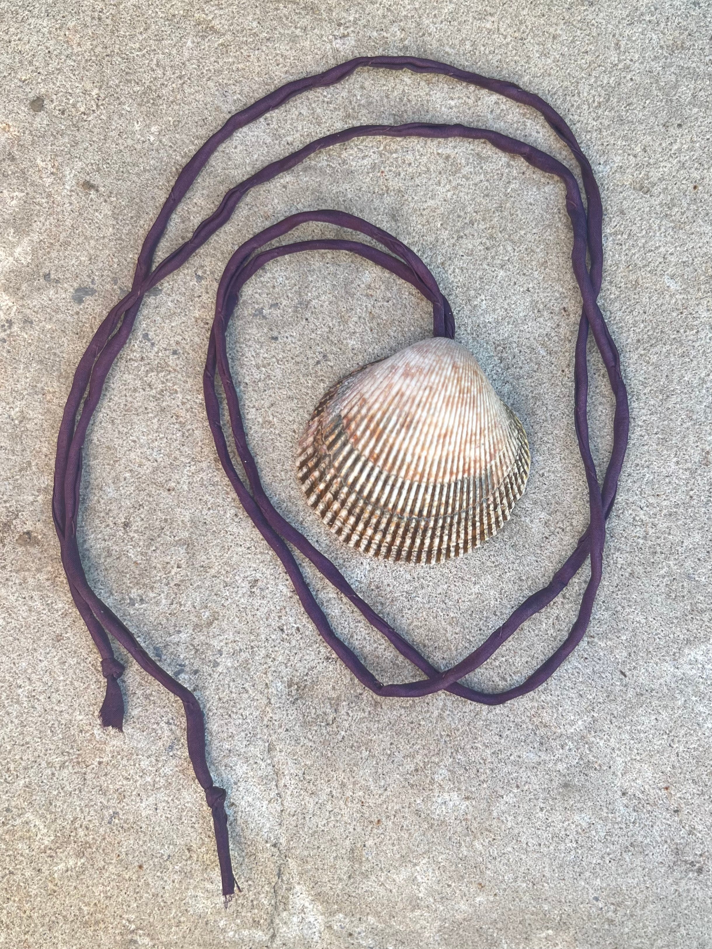 seashell talisman