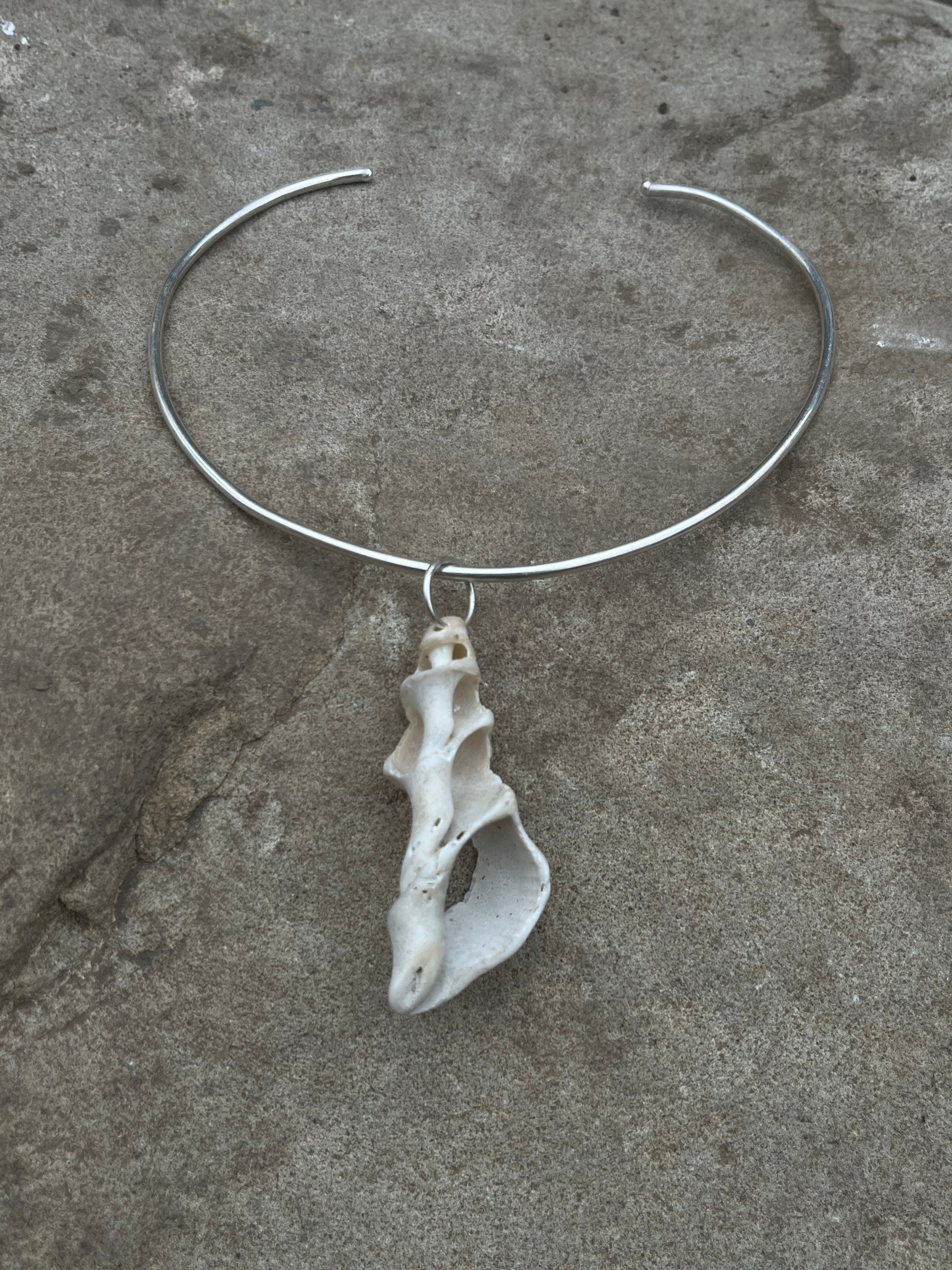 seashell collar