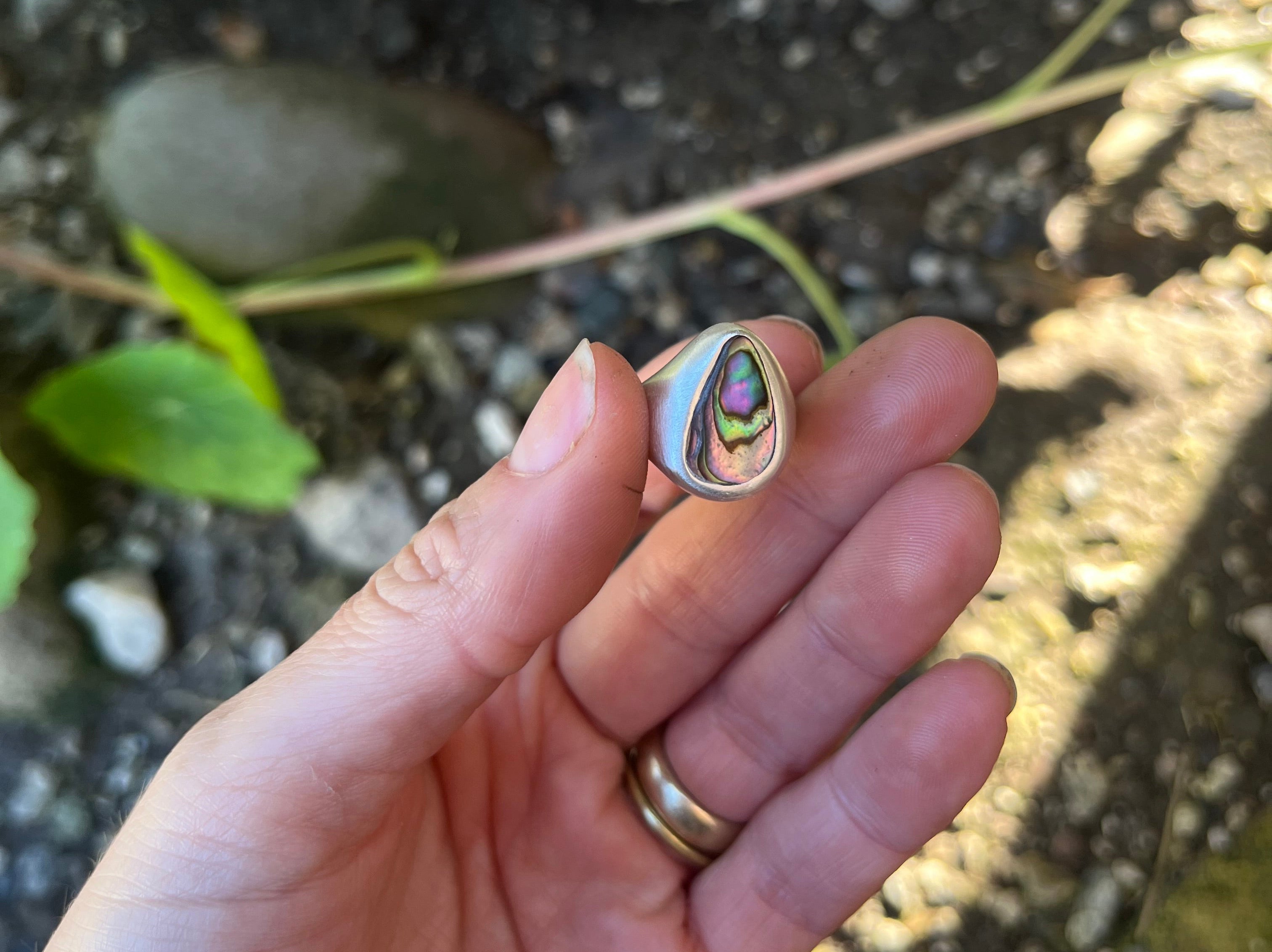 abalone ring~ size 6