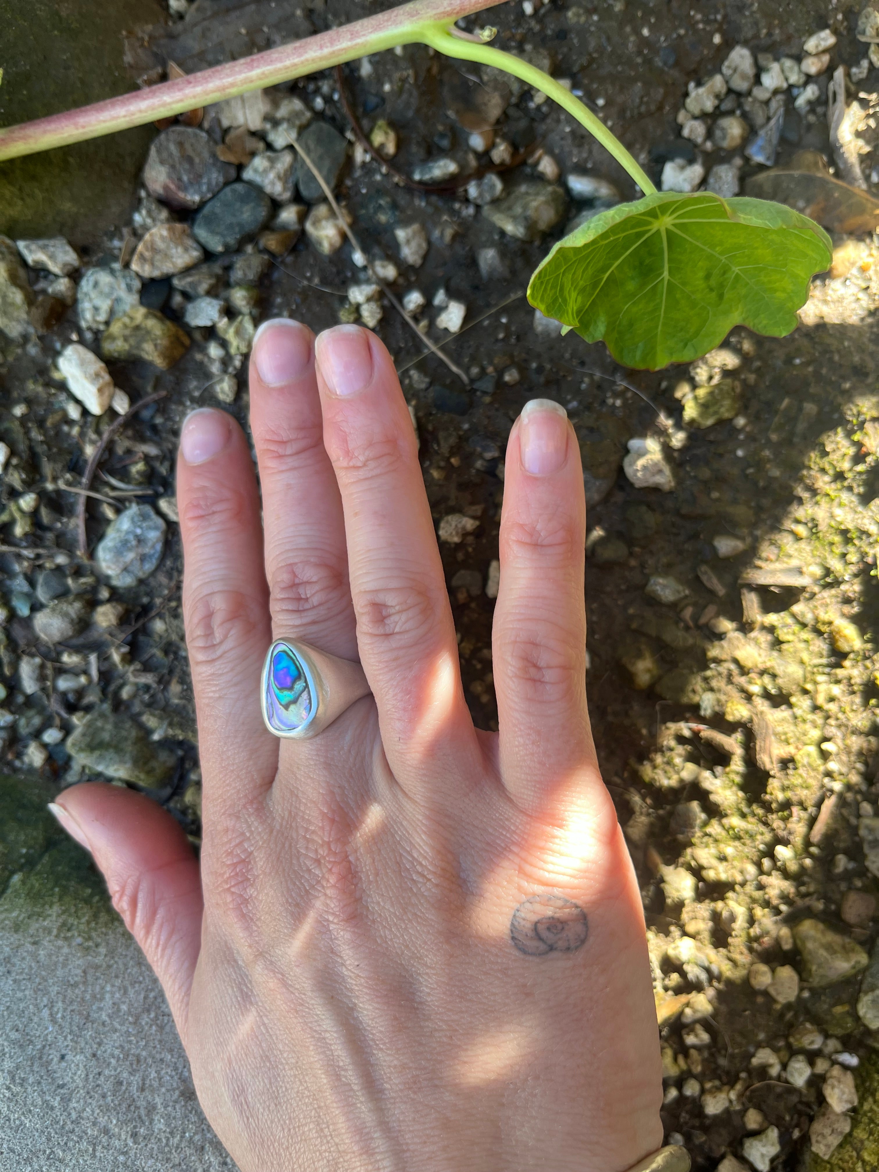 abalone ring~ size 6