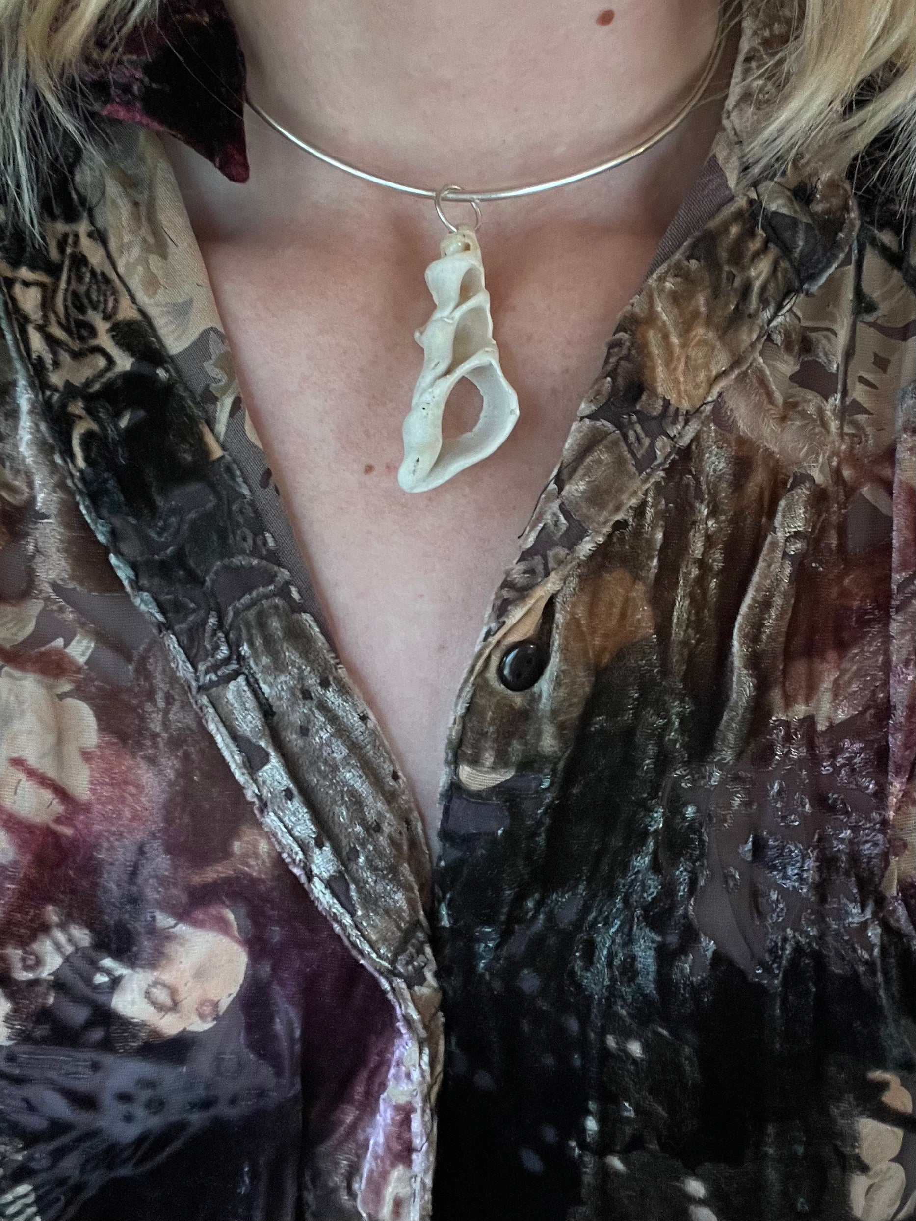 seashell collar