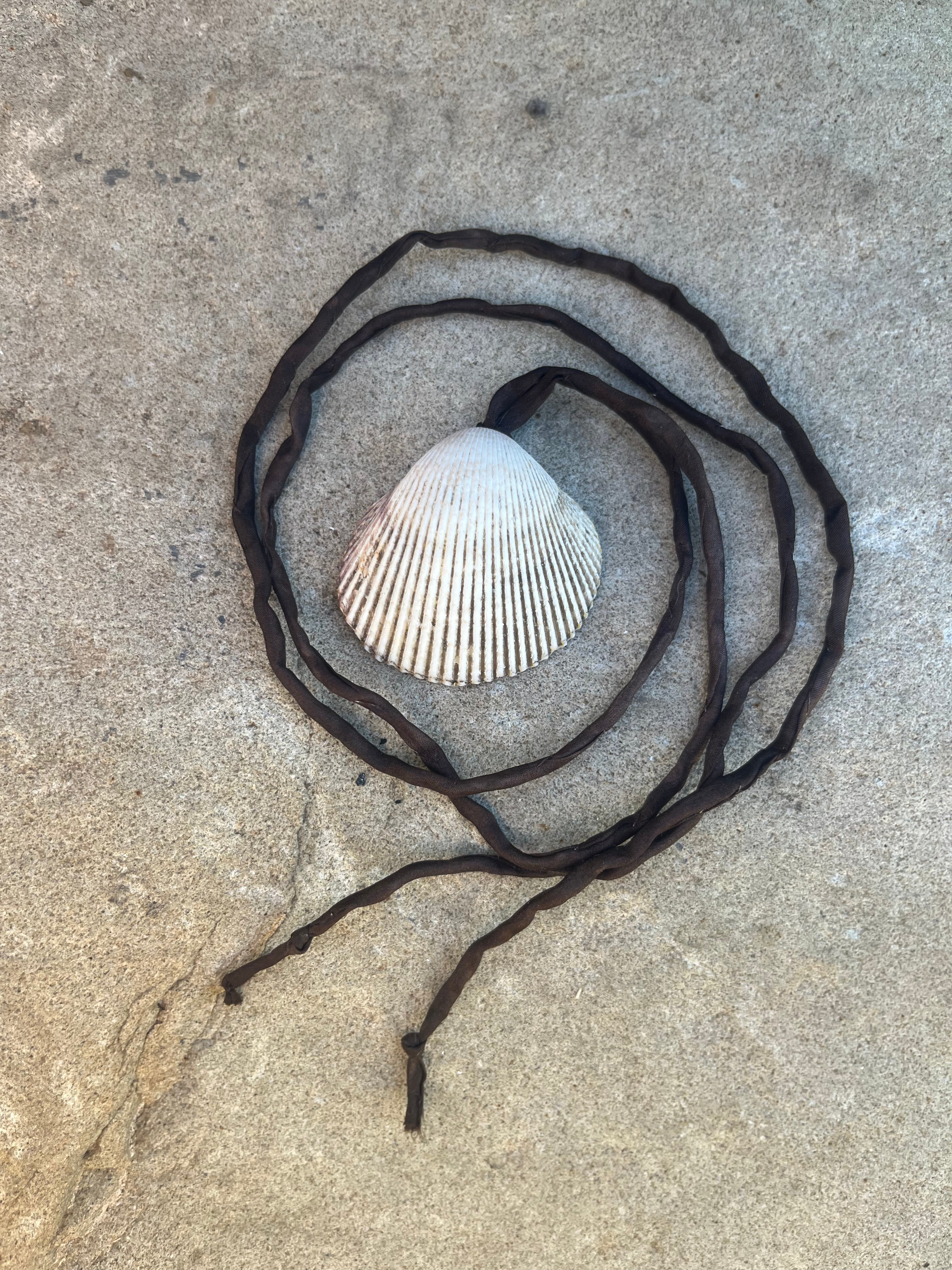 seashell talisman
