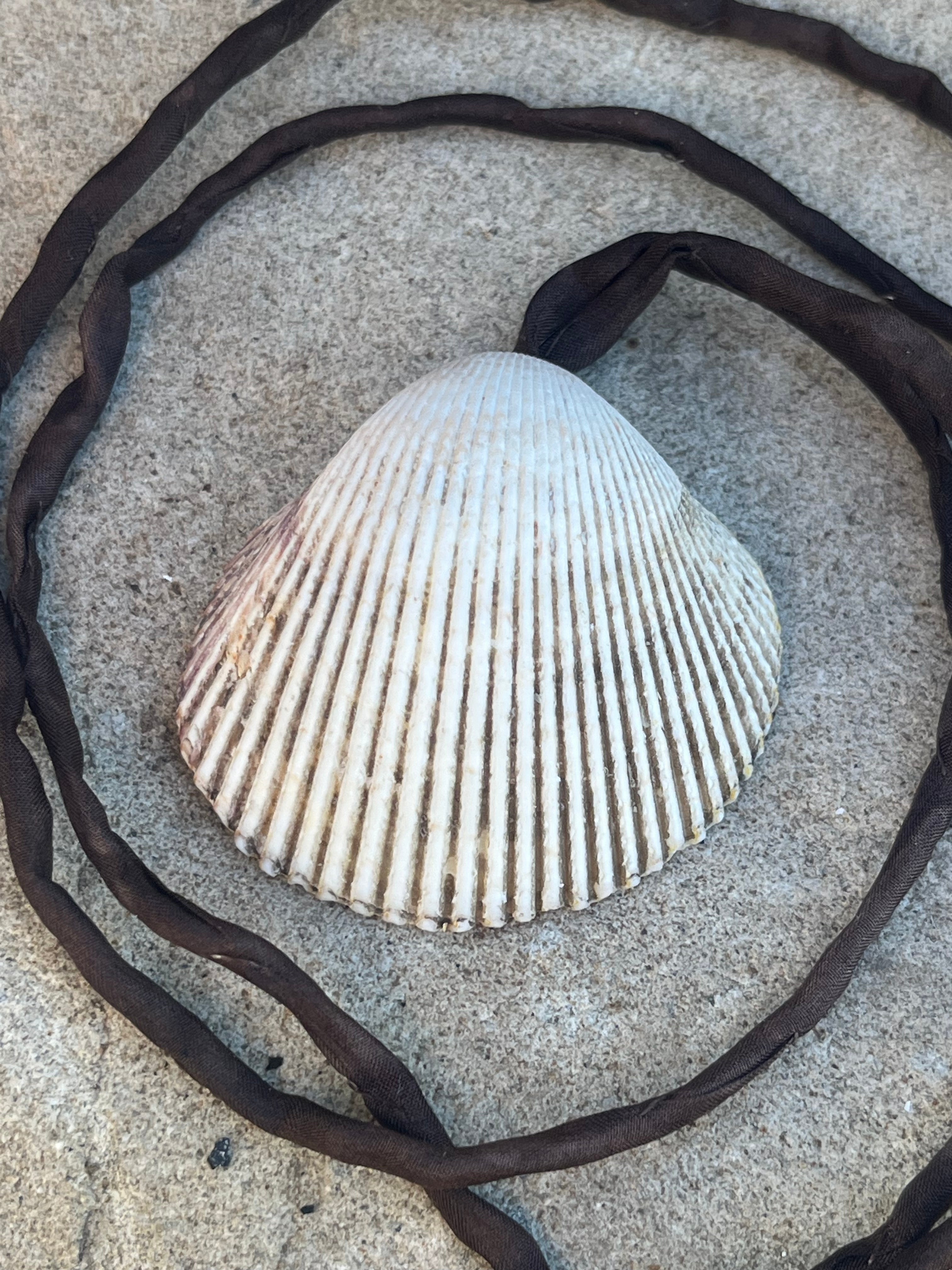 seashell talisman